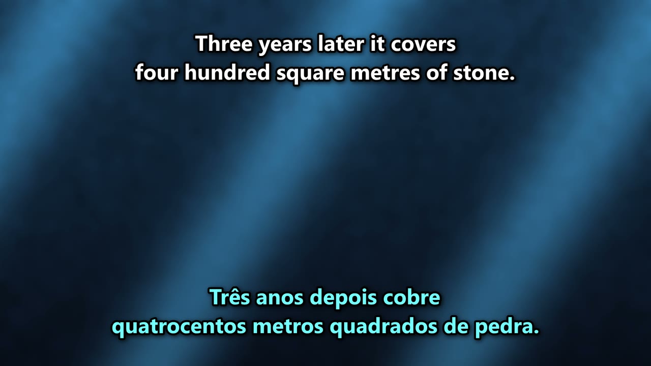 360 Subtitle and Caption Renderer screenshot 6